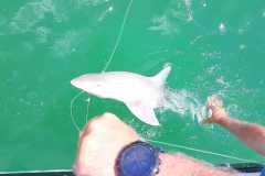 05-12-2021-chasing-tail.co_.za-29-
