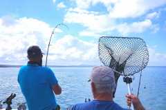 05-12-2021-chasing-tail.co_.za-30-