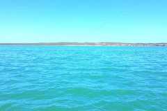 05-12-2021-chasing-tail.co_.za-31-