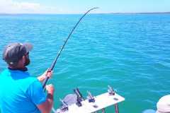 05-12-2021-chasing-tail.co_.za-33-