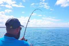 05-12-2021-chasing-tail.co_.za-39-