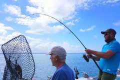 05-12-2021-chasing-tail.co_.za-40-
