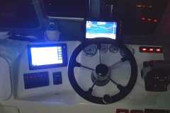 05-12-2021-chasing-tail.co_.za-41-