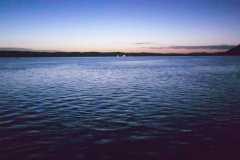 05-12-2021-chasing-tail.co_.za-43-