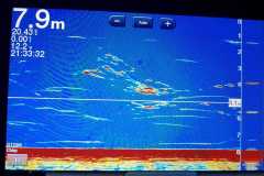 05-12-2021-chasing-tail.co_.za-45-