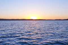 05-12-2021-chasing-tail.co_.za-51-