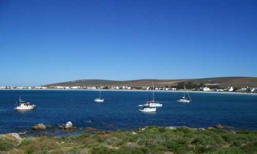 dassen island boat trip